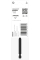 Бита Bosch Pro Torx Impact T25, 90 мм