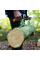 Захват для бревен Fiskars WoodXpert LT6