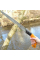 Пила садовая Fiskars SW84