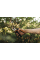 Площинний секатор Fiskars X-series P921 M