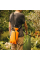 Опрыскиватель ручной садовый Fiskars Pressure Sprayer 5 л
