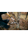 Площинний сучкоріз Fiskars PowerGearX M LX94