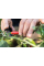 Ножницы для цветов и травы Fiskars Solid SP220