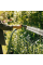 Шланг садовый Fiskars X-series™ 13 мм (1/2") 50 м 