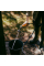 Шланг садовый Fiskars Solid™ 13 мм (1/2") 15 м