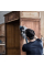 Рулон шлифовальной сетки Bosch Expert M480 115 мм 5 м G80