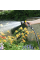 Шланг садовый Karcher Performance Premium 50 м 1/2"