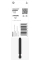 Бита Bosch Pro Phillips Impact PH2, 90 мм