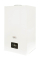 Газовый котел FERROLI DIVA D C24 (дымоходный)