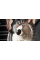 Диск PC366-3 для Dremel Versa, 3 шт