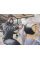 Краскопульт пневматический Metabo FSP 600 HVLP