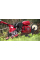 Мотокультиватор Honda FJ500 DER