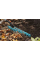 Граблі Gardena NatureLine сталеві, 36 см