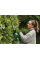 Кущоріз акумуляторний Bosch Easy HedgeCut 18-52-13 без акб і з/п