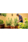 Аккумуляторный насос Bosch GardenPump 18V-2000 c акб и з/у