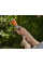 Шланг Gardena Liano 13 мм (1/2"), 10 м + комплект для поливу