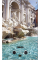 Газовый проточный водонагреватель Zanussi GWH 10 Fonte Glass Trevi
