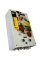 Газовый проточный водонагреватель Zanussi GWH 10 Fonte Glass La Spezia