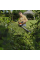 Кусторез аккумуляторный STIHL HSA 60, акб 36 В, 2 Ah