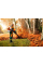Воздуходув ранцевой STIHL BR 700