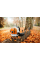 Воздуходув ранцевой STIHL BR 700